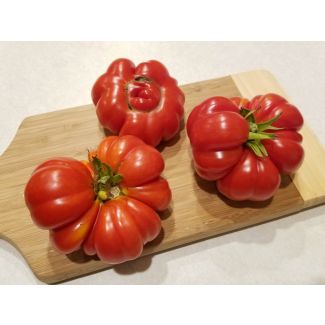 Tomato 'Costoluto Genovese'