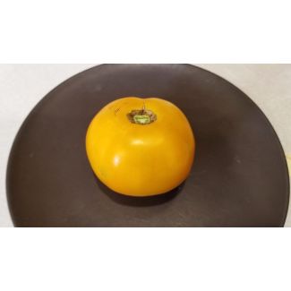 Tomato 'Barnyard' Seeds (Naturally Grown)