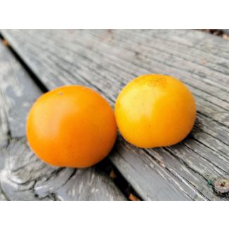 Tomato 'Tangella' Seeds (Naturally Grown)