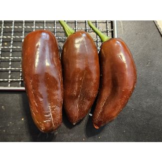 Hot Pepper 'Jalapeno Brown' Seeds