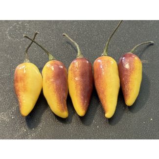 Hot Pepper 'Pointy Puma Mix' Seeds