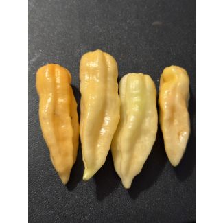 Hot Pepper 'Aji Lemon x Reaper, Peach' Seeds