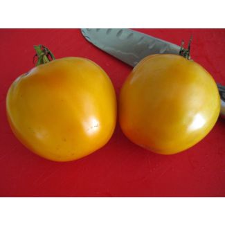 Tomato 'Golden Jubilee' Seeds (Naturally Grown)