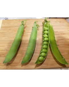 Pea 'Jumbo' Seeds (Naturally Grown)