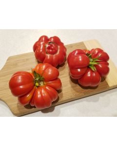 Tomato 'Costoluto Genovese'