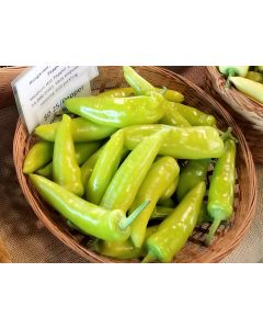Hot Banana Pepper 'Hungarian Yellow Wax'