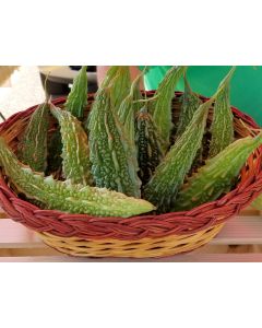 Bitter Melon Seeds (Naturally Grown)