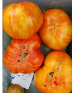 Tomato 'Solar Flare' 