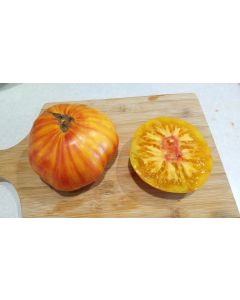 Tomato 'Copia' 