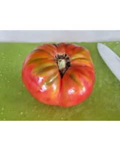 Tomato 'Purple Dog Creek' 