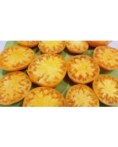 Tomato 'Kentucky Beefsteak'