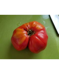 Tomato 'Carol Chyko's Big Paste' Seeds (Naturally Grown)