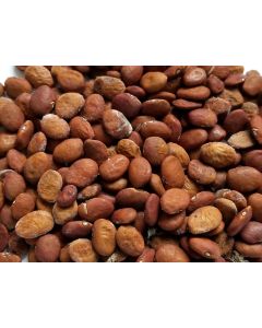 Brown Tepary Bean ‘Wepegi Bawi’