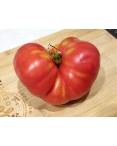 Tomato 'Ponderosa Pink' 