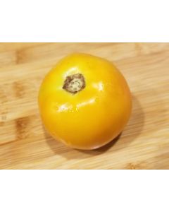 Tomato 'Orange King'
