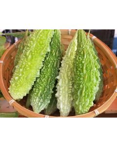 Bitter Melon 'Mix' Seeds (Naturally Grown)