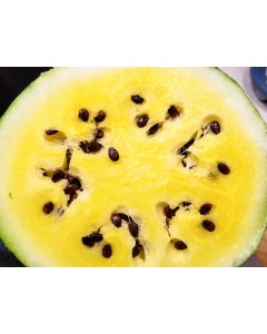 Watermelon 'Early Moonbeam'