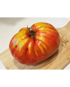 Tomato 'Uncle Johnny's Giant' 