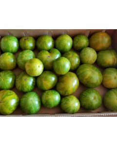 Tomato 'Green Zebra'