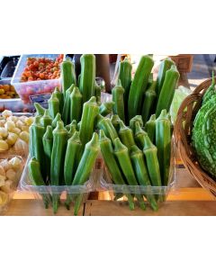 Okra 'Southern Belle' Seeds (Certified Organic) 