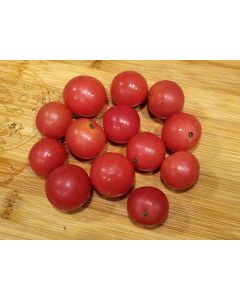 Tomato 'Ambrosia Pink' 