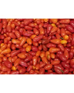 Hot Pepper ‘Pequin’ 
