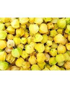 Ground Cherry Plant (4" Pot, single)