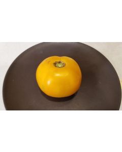 Tomato 'Barnyard' Seeds (Naturally Grown)
