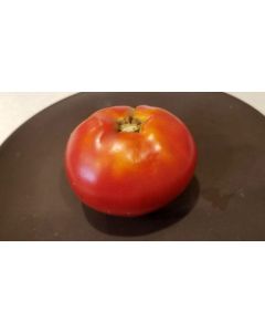 Tomato 'Moskvich' Seeds (Naturally Grown)