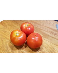 Tomato 'Beaverlodge Slicer' 