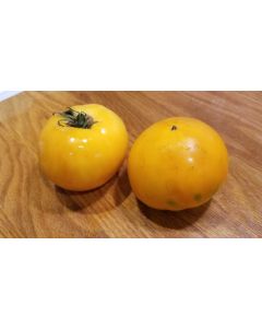 Tomato 'Tangerine'
