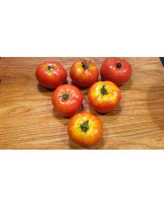Tomato 'Double Rich' 