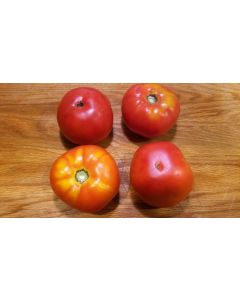 Tomato 'Rutgers'