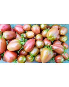 Tomato 'Chocolate Molar Cherry' 