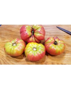 Tomato 'Omar's Lebanese' 