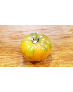 Tomato 'Persimmon'