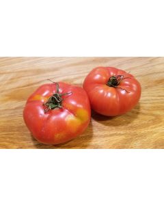Tomato 'Adventure' Seeds (Naturally Grown)