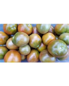 Tomato 'Nyagous'