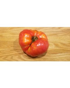 Tomato 'Palo Alto'