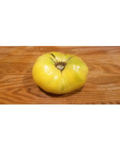 Tomato 'Great White'