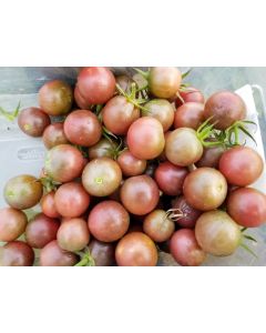 Tomato 'Chocolate Cherry'