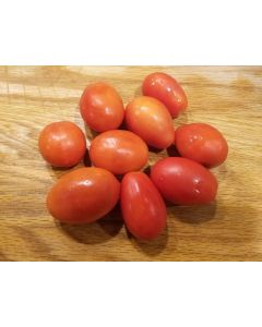 Tomato 'Napoli' 