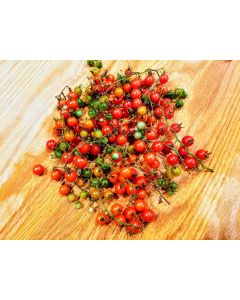 Tomato 'Sweet Pea'