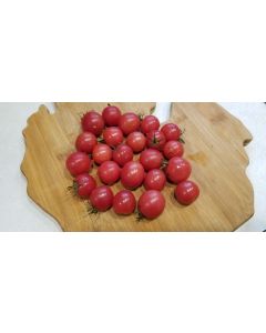 Tomato 'Katie's Pink Lemonade'