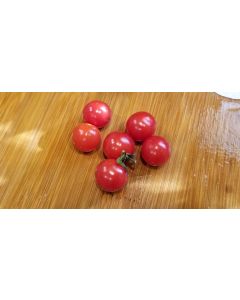 Tomato 'Matt's Wild Cherry'