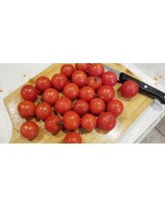 Tomato 'Tommy Toe' 