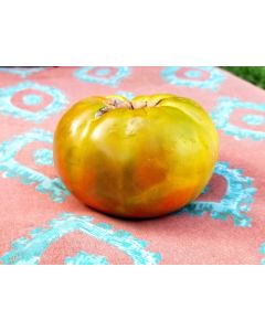 Tomato 'Captain Lucky' 