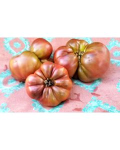 Tomato 'BKX' AKA 'Black Krim Potato Leaf' 