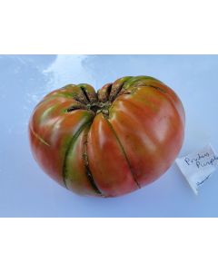 Tomato 'Pruden's Purple'
