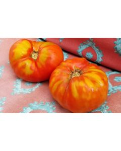 Tomato 'Andrew Rahart's Jumbo Red'
